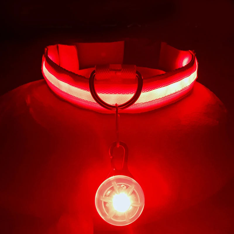 Zyvomart USB Rechargeable Glowing LED Pet Collar - Luxury Detachable Bright Night Safety Light