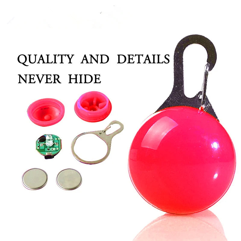 Zyvomart USB Rechargeable Glowing LED Pet Collar - Luxury Detachable Bright Night Safety Light