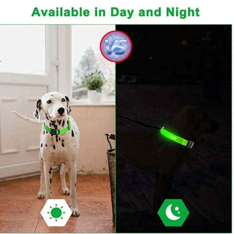Zyvomart USB Rechargeable Glowing LED Pet Collar - Luxury Detachable Bright Night Safety Light