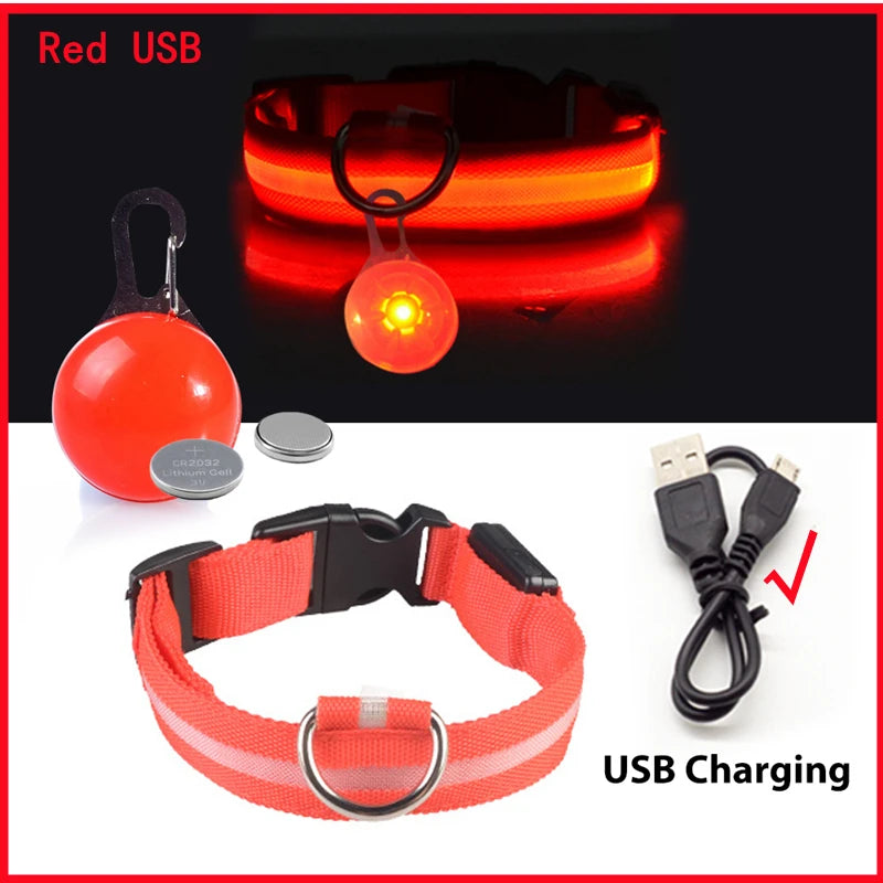 Zyvomart USB Rechargeable Glowing LED Pet Collar - Luxury Detachable Bright Night Safety Light