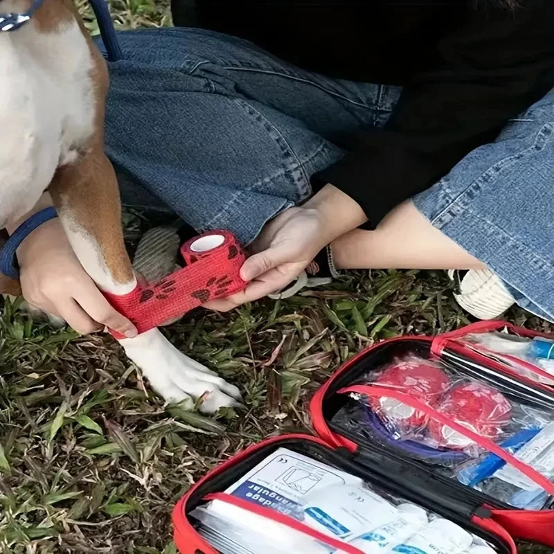 Zyvomart Compact Pet First Aid Kit for Dogs & Cats - Emergency Supplies for Camping & Backpacks