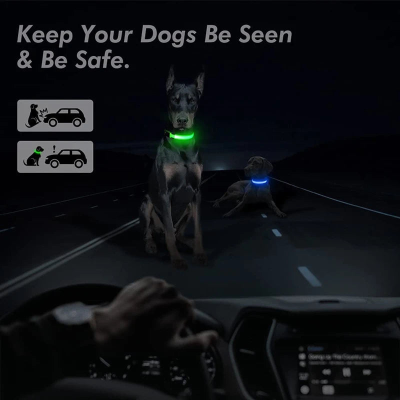 Zyvomart USB Rechargeable Glowing LED Pet Collar - Luxury Detachable Bright Night Safety Light
